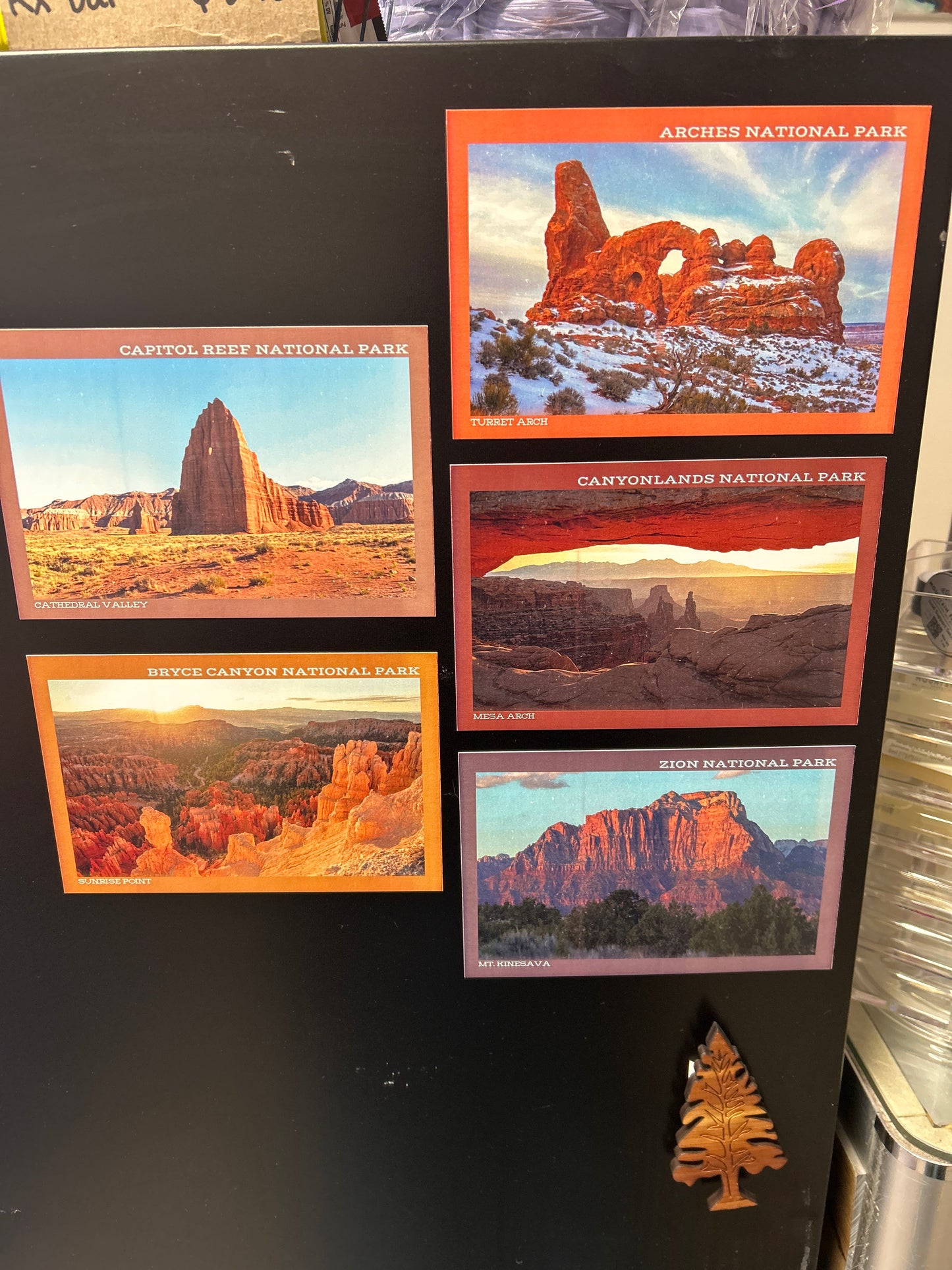 Wilde Collective - Photo Magnets 4x6