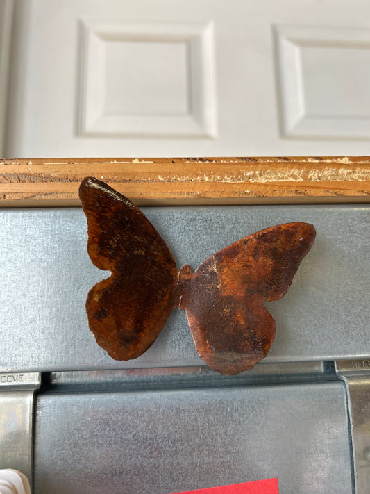 Metal Art by Roger Sandry - Butterfly Magnet