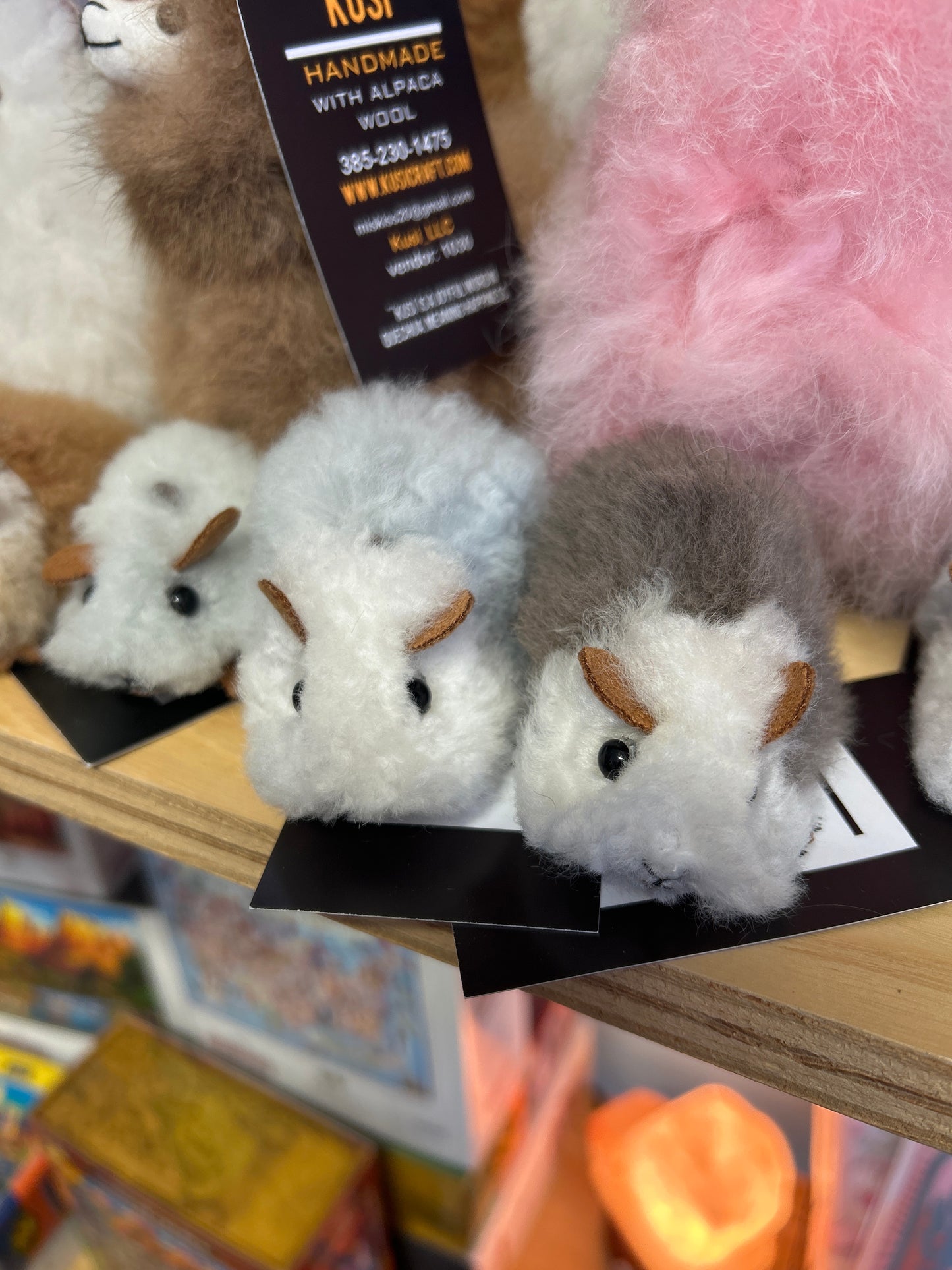 Kusi - Small Guineapig
