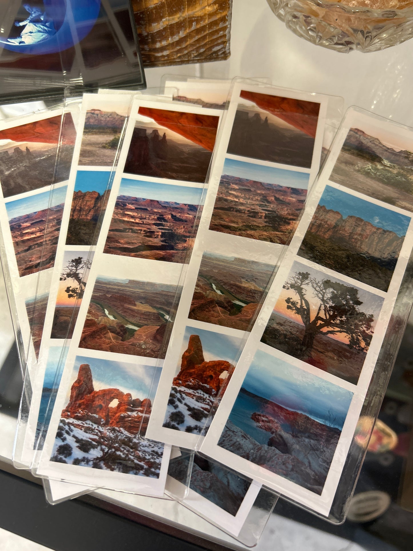 Wilde Collective - Photo Strips