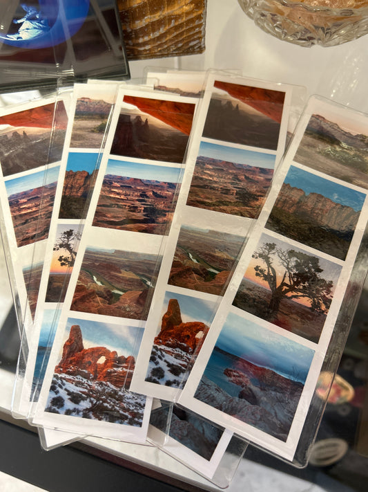 Wilde Collective - Photo Strips