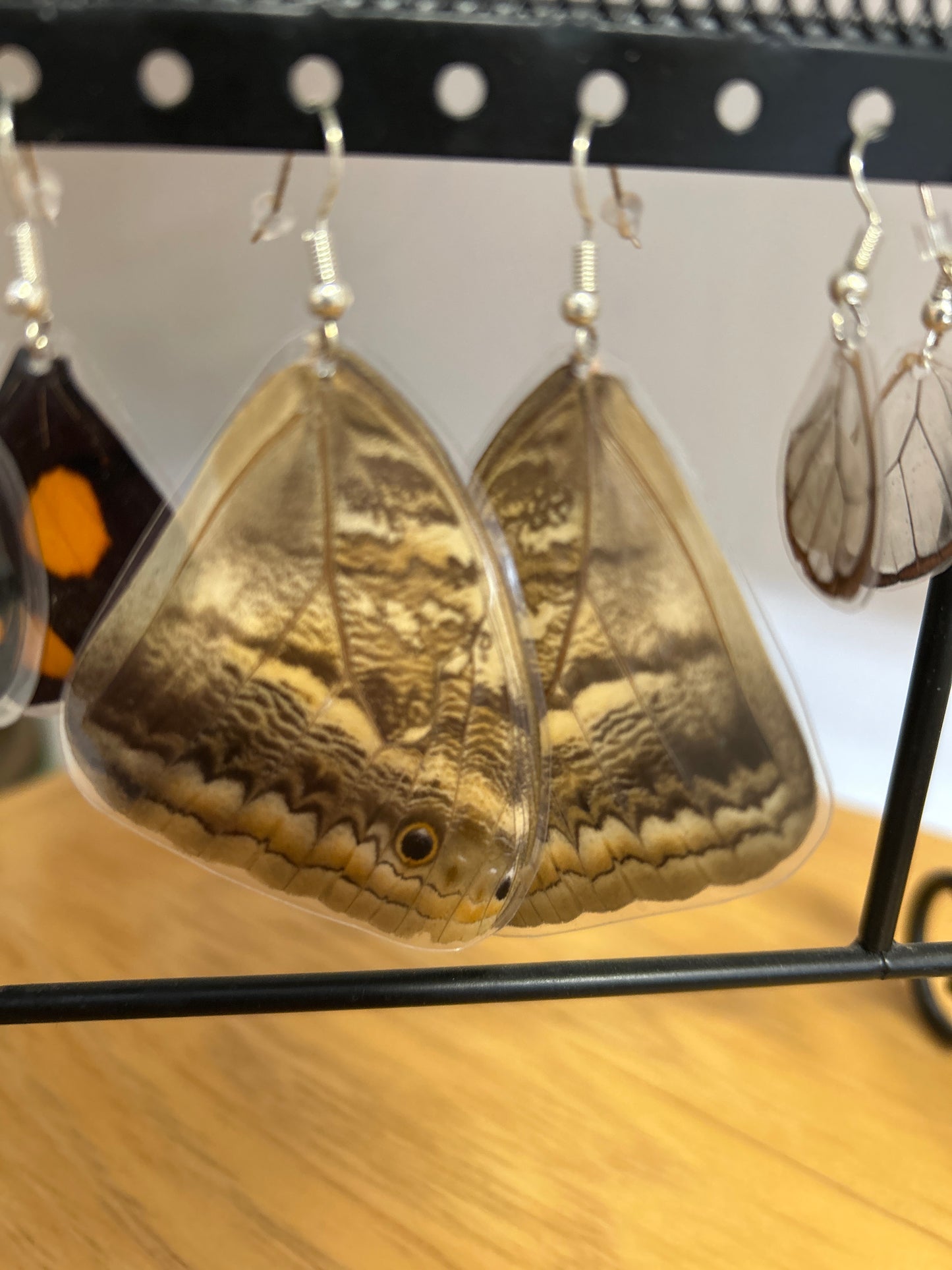 LoveBug Accessories - Big/Rare Butterfly Wing Earrings