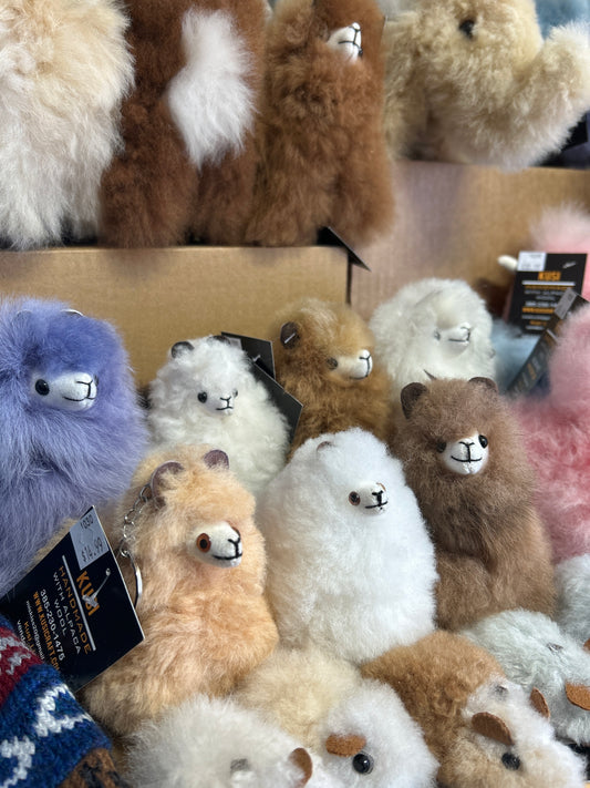 Kusi - Llamas 2 Color