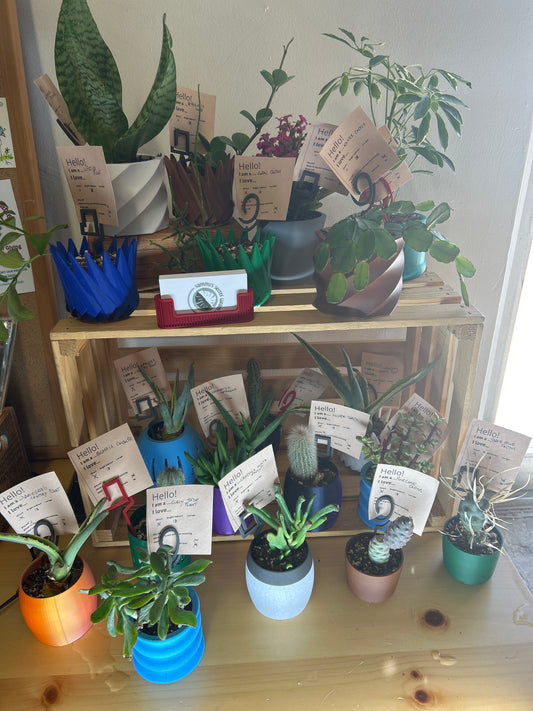 Sammy's Secret Garden - Plants