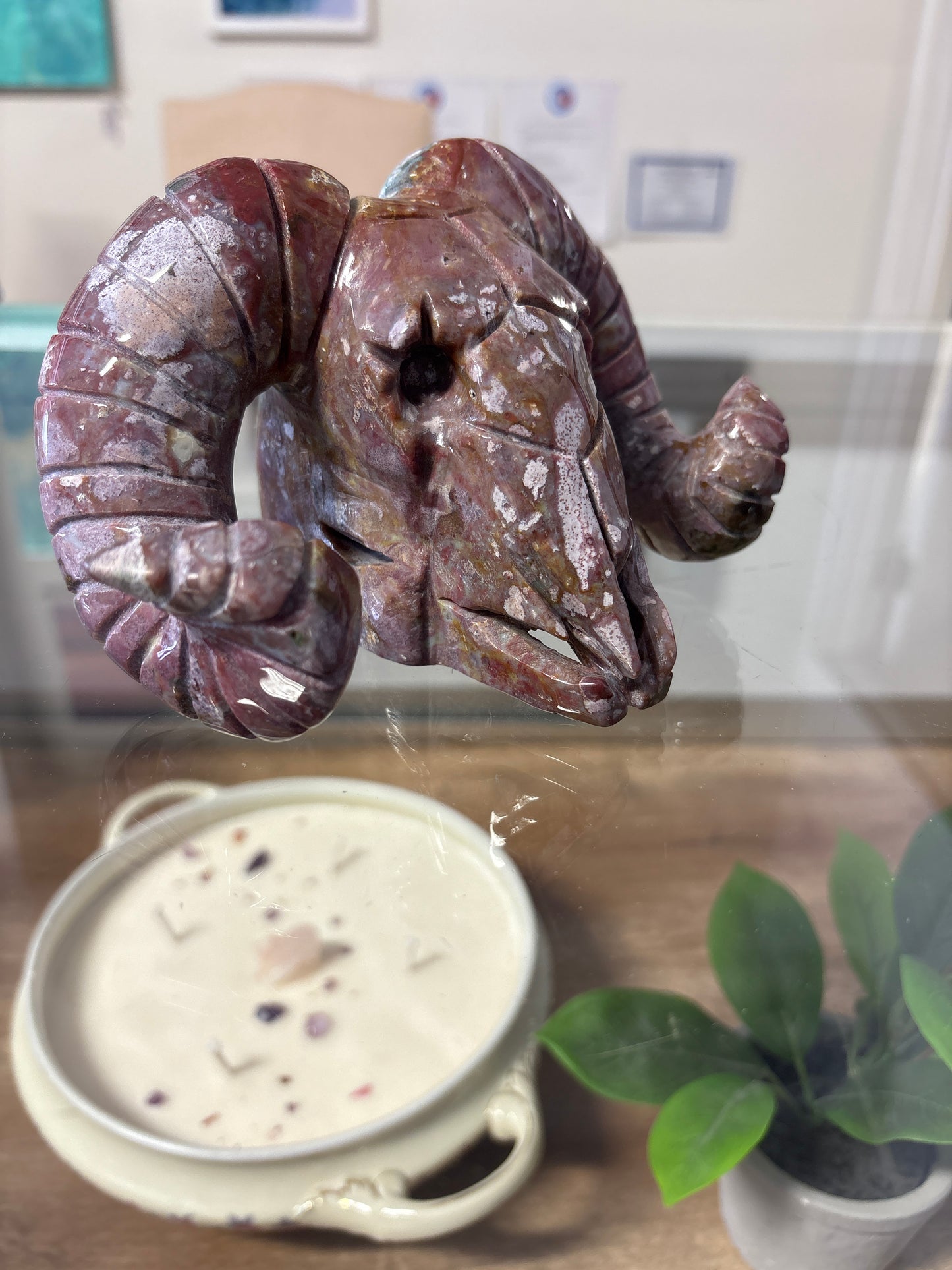 Agateway Apothecary - Ram Skull Statement Piece